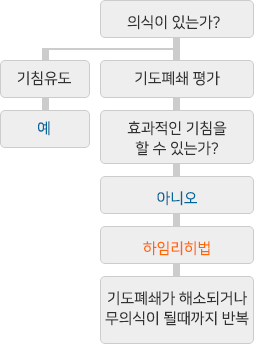 의식이 있는가? 기침유도-예,기도폐쇄 평가-효과적인 기침을 할 수 있는가?-아니오-하임리히법-기도폐쇄가 해소되거나 무의식이 될때까지 반복
