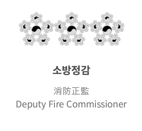 소방정감