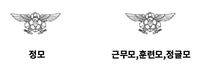 정모, 근무모,훈련모,정글모