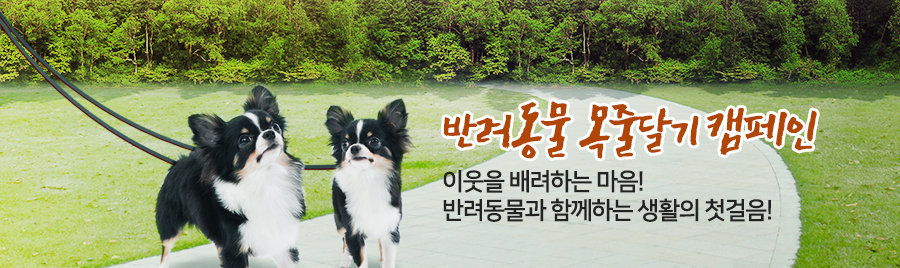 반려동물 목줄달기 캠페인 이웃을 배려하는 마음! 반려동물과 함께하는 생활의 첫걸음
